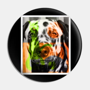 dalmatian dog face Pin