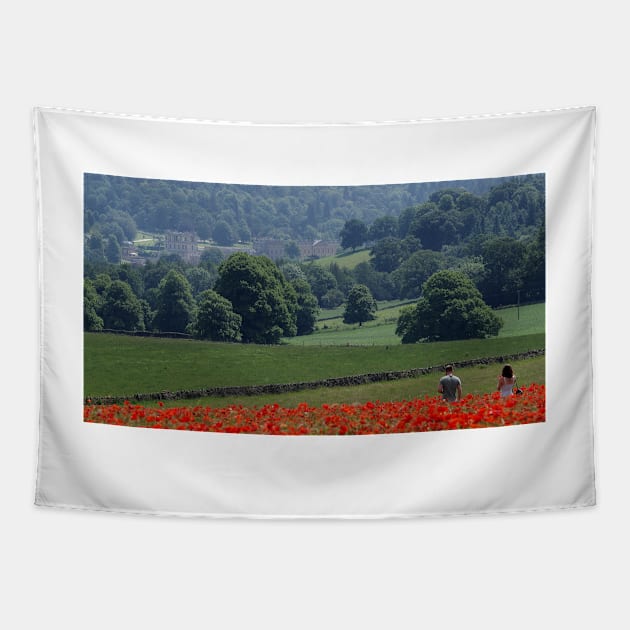 Field of poppys  near baslow in derbyshire with chatsworth house in the distance Tapestry by Simon-dell