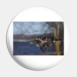 Together Forever - Wood Ducks Pin