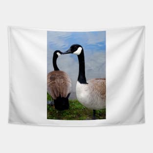 Canada Goose Canadian Geese Wild Bird Tapestry