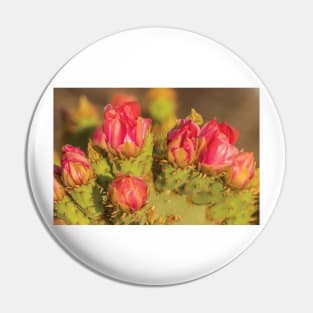 Prickly Pear Cactus Blossoms Pin