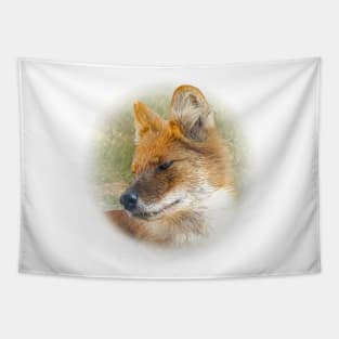 Dhole-asian wild dog Tapestry