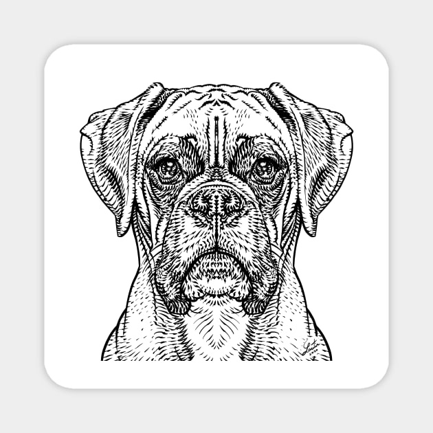 BOXER in black & white Magnet by lautir