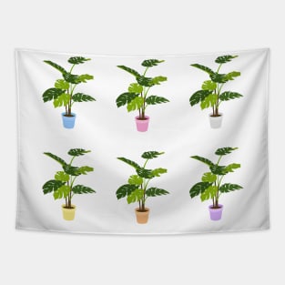 Potted Monstera Plant pack Tapestry