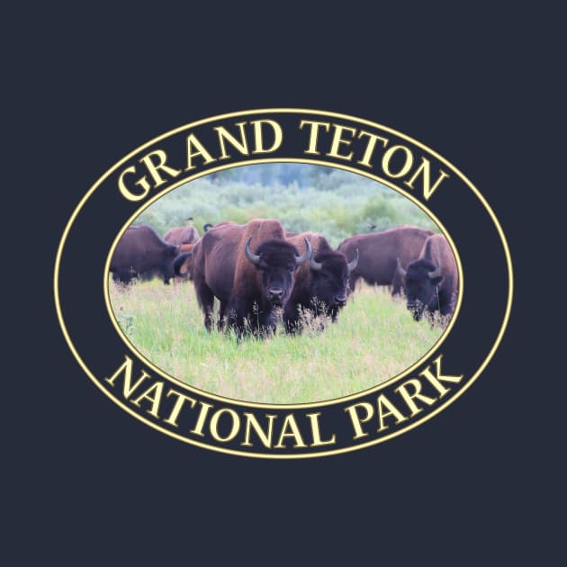 Wild Buffalo / Bison at Grand Teton National Park in Wyoming by GentleSeas