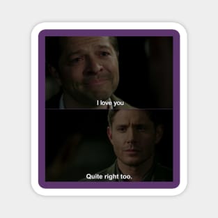 Superwho Destiel meme Magnet