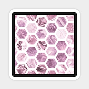 Faux rose hexagons Magnet