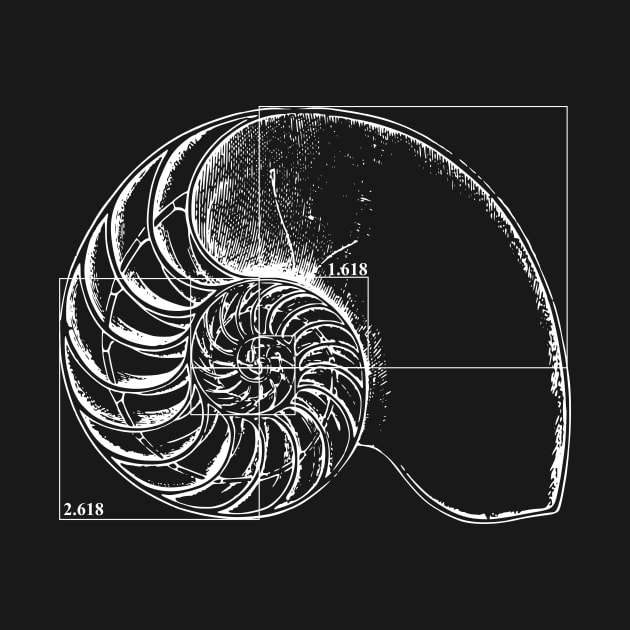 Fibonacci on a nautilus shell by funmaths