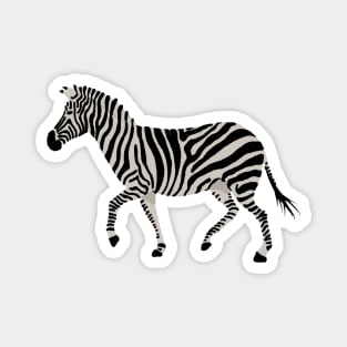 Zebra Design Magnet