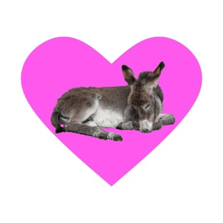 Cute Donkey in Pink Heart T-Shirt