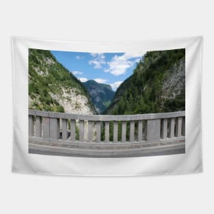 Friulian Dolomites with Foreground Barrier Tapestry