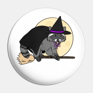 Halloween Witch Raccoon Pin