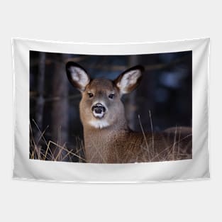 White-tailed Deer Tapestry