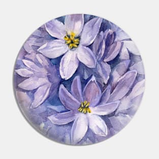 Bismarck Purple Hyacinth. Watercolor illustration. Pin