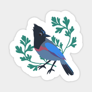 Spring Stellar’s Jay Magnet