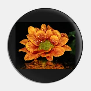 Mustard Chrysanthemum Pin