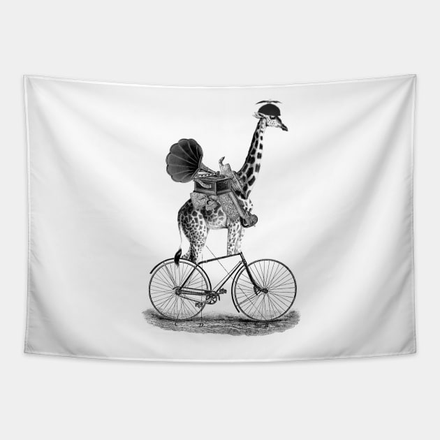 Phil loved to listen to his new music player whist cycling around the neighbourhood Tapestry by RichMcCoy