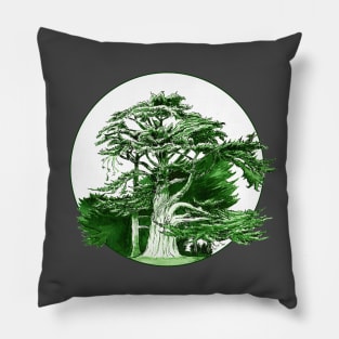 Cypress Tree, Alamo Sq. Park San Francisco Pillow