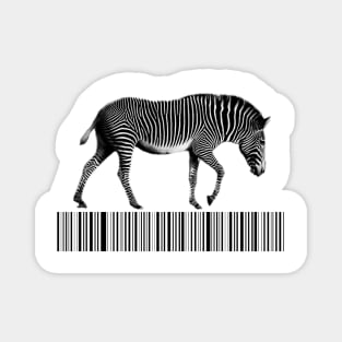 Zebra Magnet