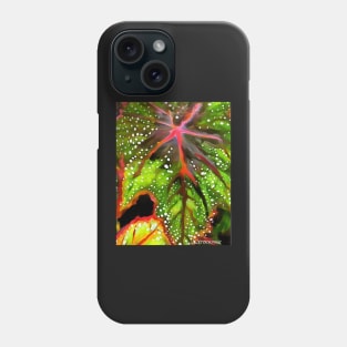 Stocksom Leaves 1 Phone Case