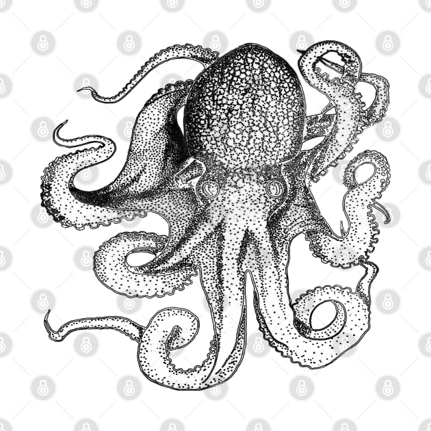 Octopus black line drawing by ThistleRosep