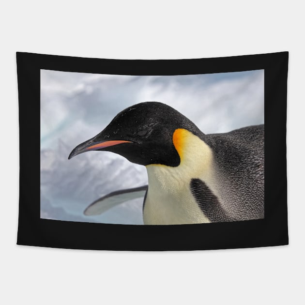 Adult emperor penguin Tapestry by mjoncheres