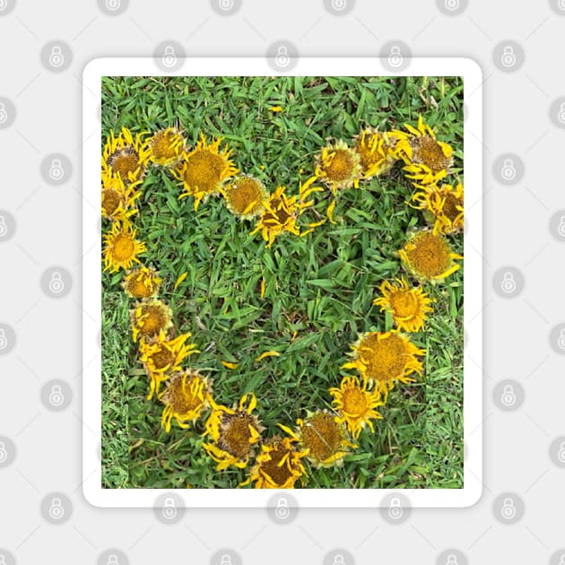 Sunflower Heart with grass Magnet by SafariByMarisa