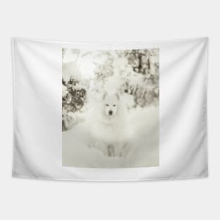 Snowy Samoyed Phone Case Tapestry