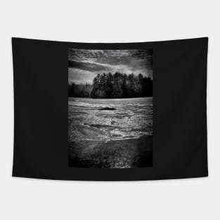 Gullwing Lake No 1 Tapestry