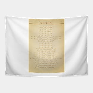 Algebraic Formulas Tapestry