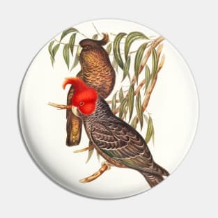 Gang-gang Cockatoo Pin