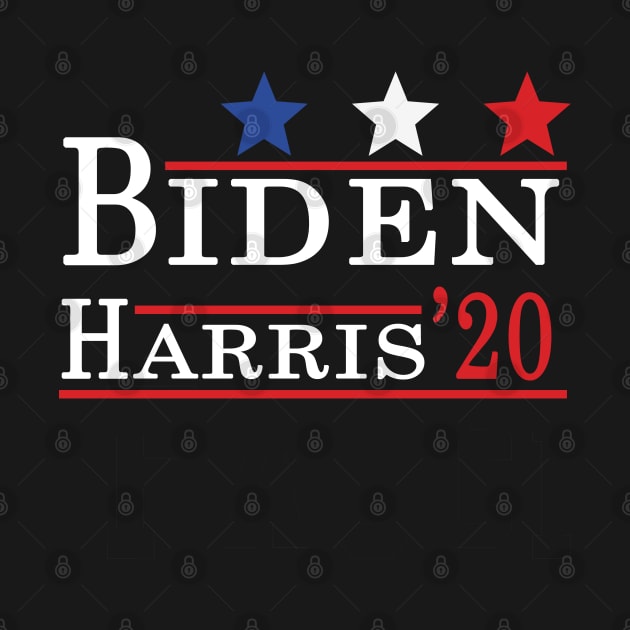 Biden Harris 2020 by Magic Arts