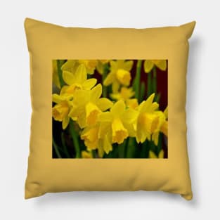 Daffodils relate to Easter and spring Pillow