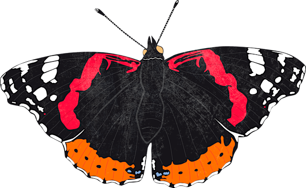 Red Admiral Butterfly Kids T-Shirt by emilywayland