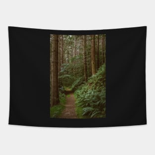 Through the Pine forest Tapestry