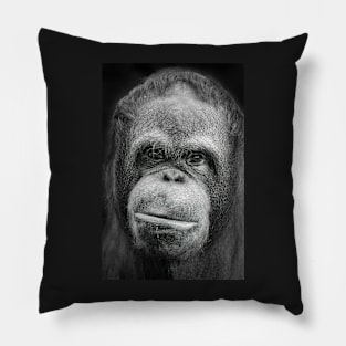 Orang-utan Portrait Pillow