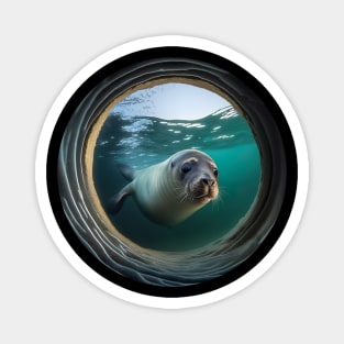 Curious Seal in Underwater View Magnet