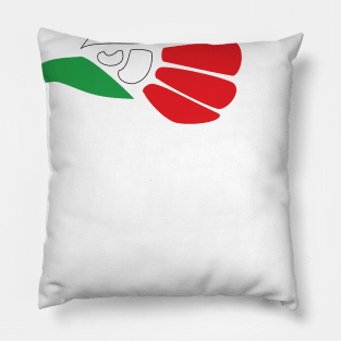 Hecho En Mexico - Made In Mexico Pillow