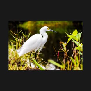 White Heron T-Shirt