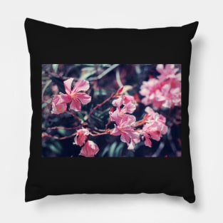 Pink Nerium oleander flower Pillow