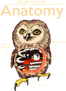 Anatomy of Owls Magnet