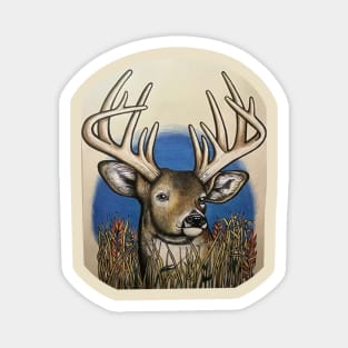 Whitetail Magnet