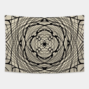 Into The Black Hole Tapestry