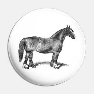 Draft Horse Mare Vintage Black & White Illustration Pin