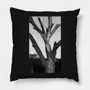 Lightning scarred tree Pillow