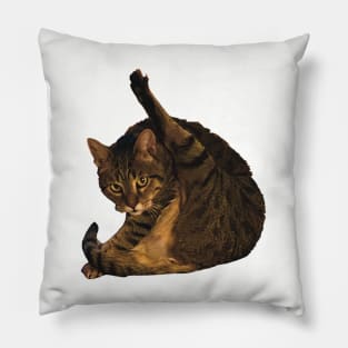 tabby cat funny meme cleaning his butt Pillow