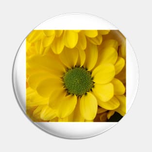 Yellow Pom Flower Close Up Pin