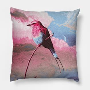 Colorful bird sky Pillow