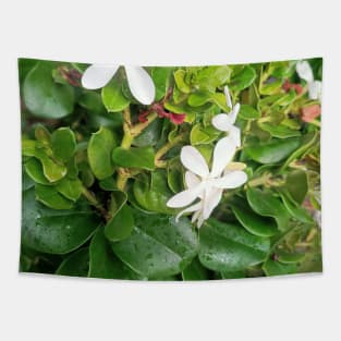 White flowers green leaves, aesthetic minimalist plant photography Tapestry