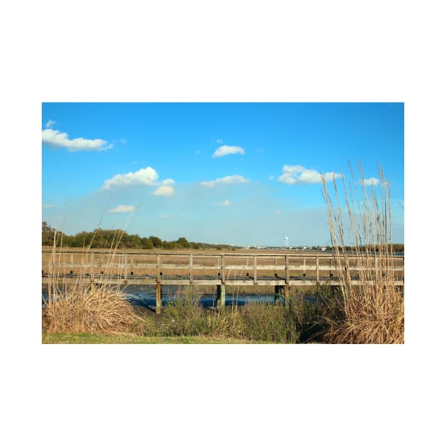 Salt Marsh View by Cynthia48